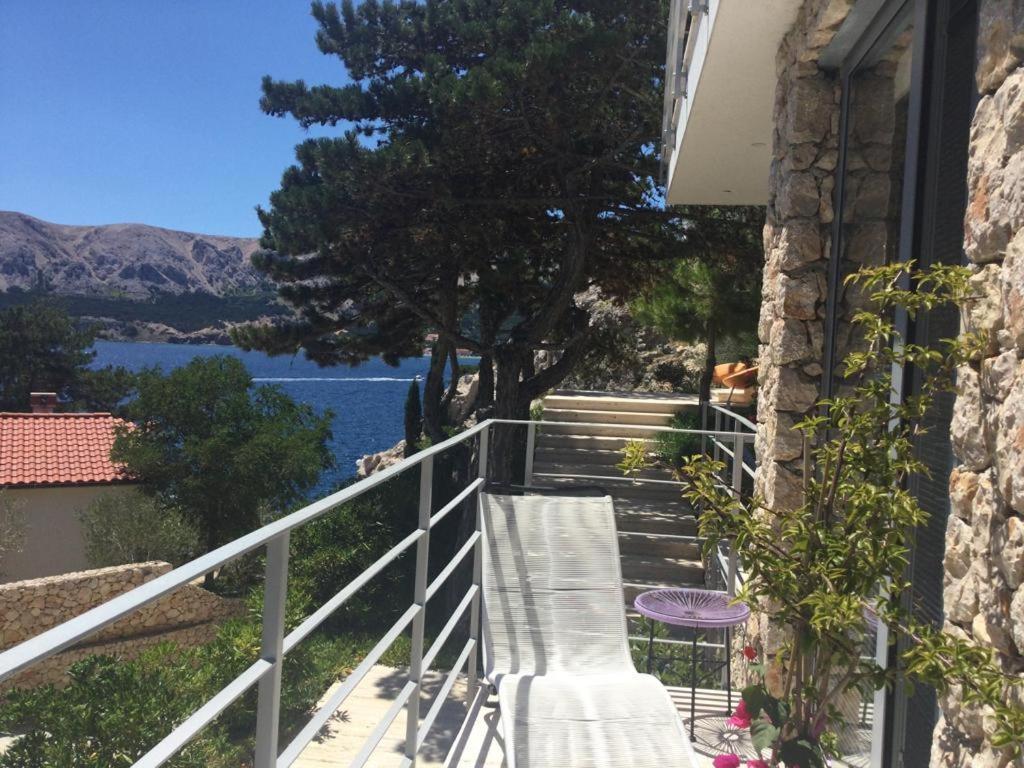 Shimmer&shine * Baška